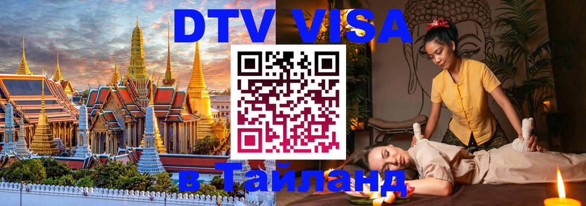 Сколько стоит DTV виза — актуальные цены, оформление даже без документов - 09.01.2026 